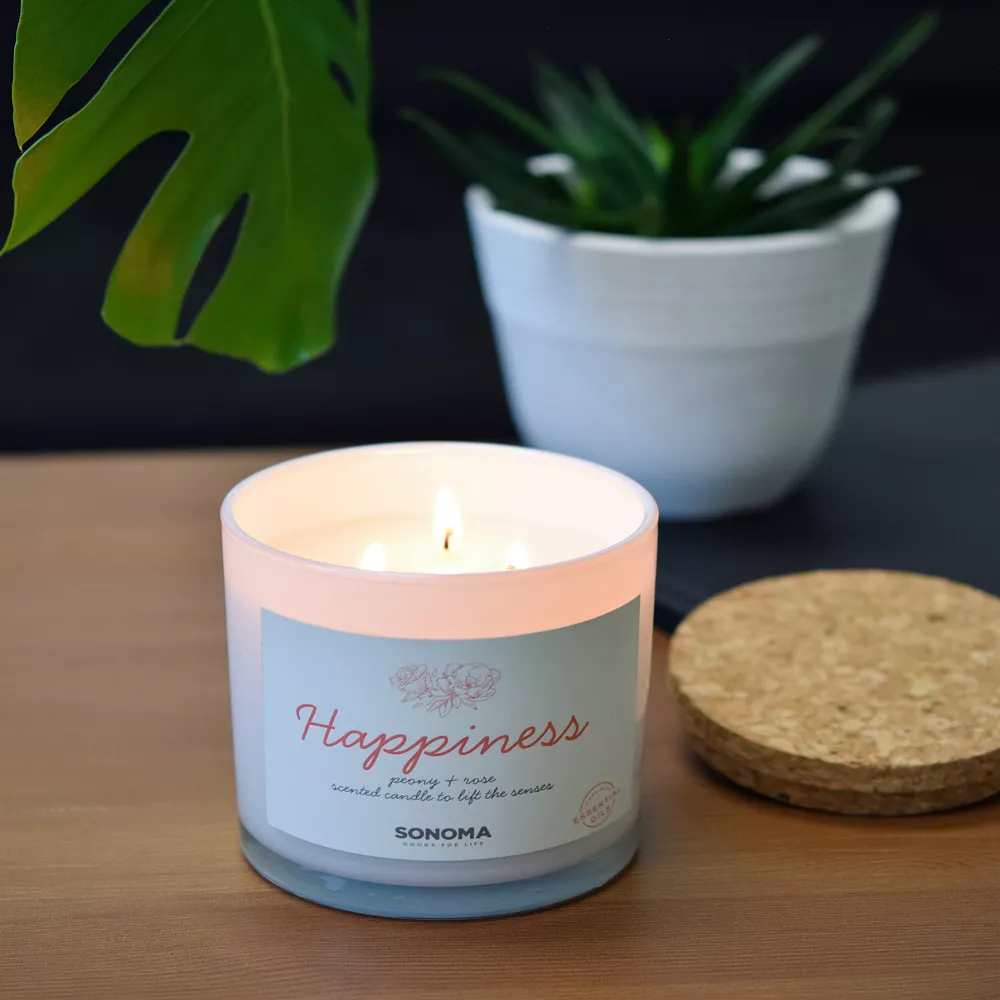 Sonoma Goods For Life® Spa Happiness 3-Wick Candle Jar 4 Sonoma Goods For Life® Spa Happiness 3-Wick Candle Jar - Image 2