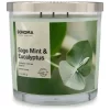 Sonoma Goods For Life® Sage Mint & Eucalyptus 14-oz. Candle Jar -Sonoma Goods For Life 5494081