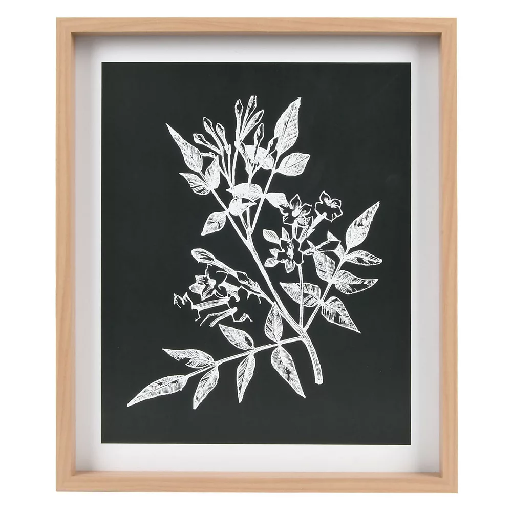 Sonoma Goods For Life® Printed Wood Frame Reverse Botanical Wall Decor 3 Sonoma Goods For Life® Printed Wood Frame Reverse Botanical Wall Decor