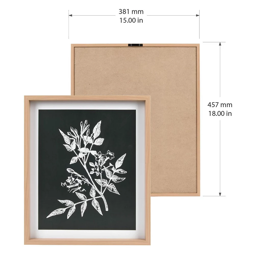 Sonoma Goods For Life® Printed Wood Frame Reverse Botanical Wall Decor 6 Sonoma Goods For Life® Printed Wood Frame Reverse Botanical Wall Decor - Image 4