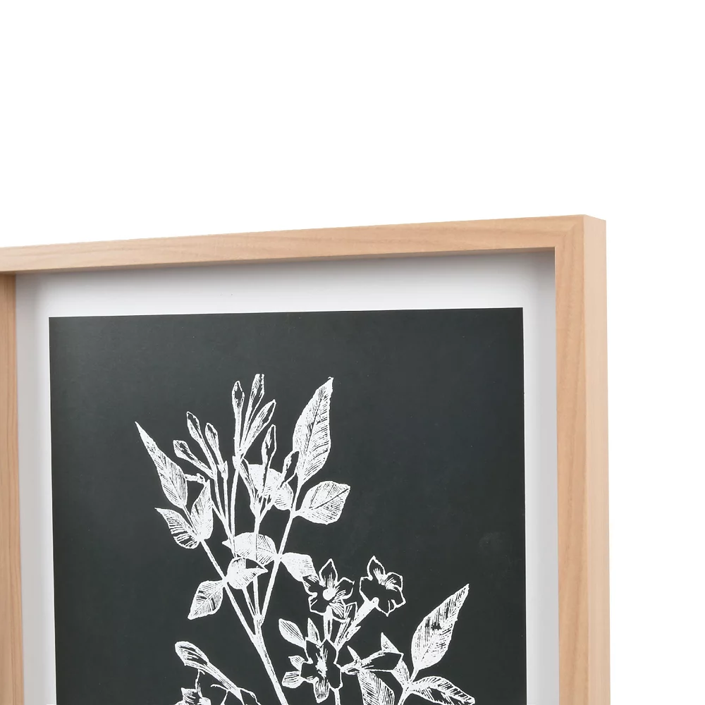 Sonoma Goods For Life® Printed Wood Frame Reverse Botanical Wall Decor 7 Sonoma Goods For Life® Printed Wood Frame Reverse Botanical Wall Decor - Image 5