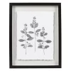Sonoma Goods For Life® Botanical Shadowbox Framed Wall Art -Sonoma Goods For Life 5636632