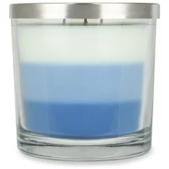 Sonoma Goods For Life® Blue Citron 14-oz. Candle Jar -Sonoma Goods For Life 5660126 ALT3