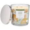 Sonoma Goods For Life® Lemon Sugar Sorbet 14-oz. Candle Jar