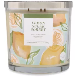 Sonoma Goods For Life® Lemon Sugar Sorbet 14-oz. Candle Jar 7 Sonoma Goods For Life® Lemon Sugar Sorbet 14-oz. Candle Jar -Sonoma Goods For Life 5877278 ALT2