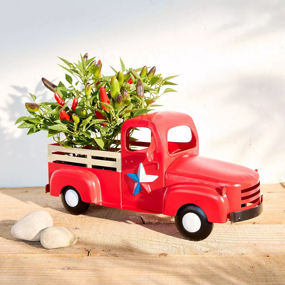 Sonoma Goods For Life® Texas Truck Planter Table Decor 4 Sonoma Goods For Life® Texas Truck Planter Table Decor - Image 2