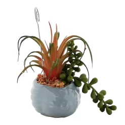 Sonoma Goods For Life® Succulent Artificial Greenery Photo Clip