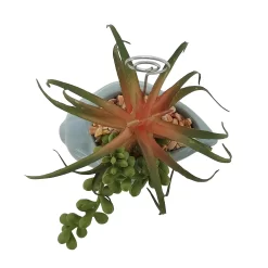 Sonoma Goods For Life® Succulent Artificial Greenery Photo Clip -Sonoma Goods For Life 5903701 ALT4