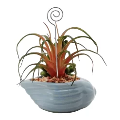 Sonoma Goods For Life® Succulent Artificial Greenery Photo Clip -Sonoma Goods For Life 5903701 ALT5