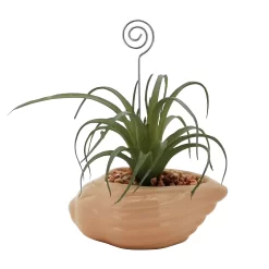 Sonoma Goods For Life® Air Plant Artificial Greenery Photo Clip