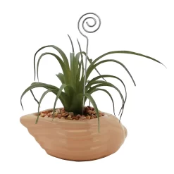Sonoma Goods For Life® Air Plant Artificial Greenery Photo Clip -Sonoma Goods For Life 5903702 ALT3