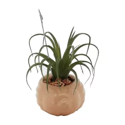 Sonoma Goods For Life® Air Plant Artificial Greenery Photo Clip -Sonoma Goods For Life 5903702 ALT4
