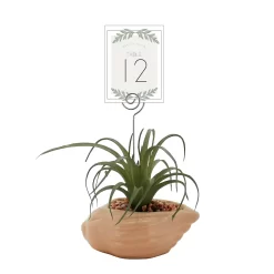 Sonoma Goods For Life® Air Plant Artificial Greenery Photo Clip -Sonoma Goods For Life 5903702 ALT5