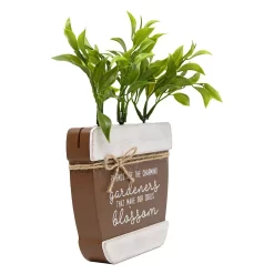 Sonoma Goods For Life® Artificial Botanical Plant Caption Box -Sonoma Goods For Life 5972760 ALT2