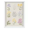 Sonoma Goods For Life® Framed Botanical Art 2 Sonoma Goods For Life® Framed Botanical Art -Sonoma Goods For Life 5979607
