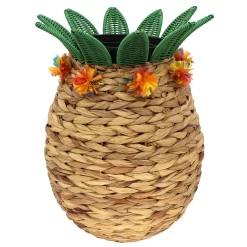 Sonoma Goods For Life® Pineapple Planter Floor Decor