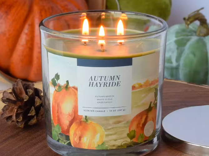 Sonoma Goods For Life -Sonoma Goods For Life UWF 1BN DU9I26ZHVIYMI